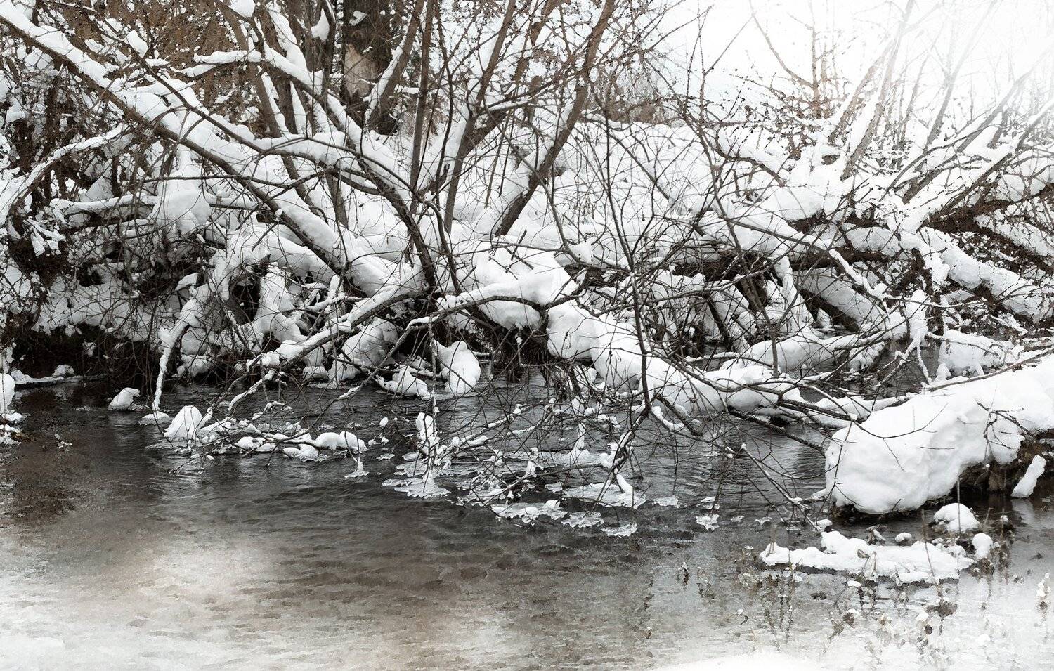 , Федотов Сергей