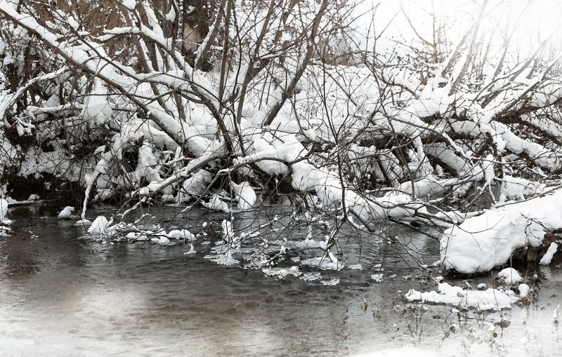 пальцами веток по стылой воде. фото превью