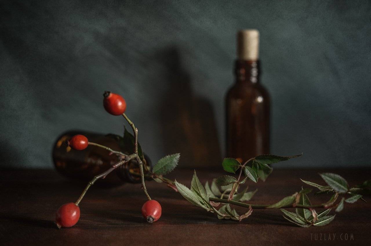 шиповник, собачья роза, бутыльки, Владимир Тузлай