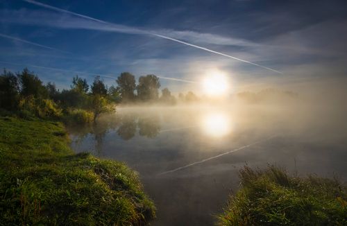 Летним утром