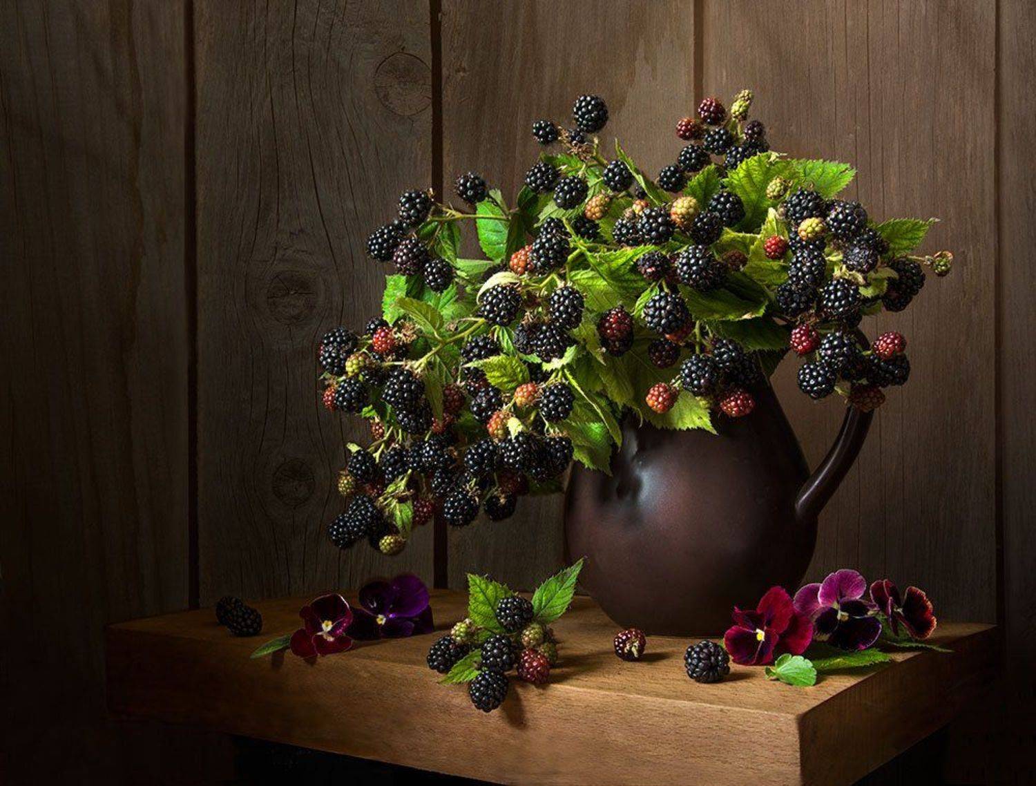 красивый натюрморт с ежевикой,ягоды,виолы,художественное фото,искусство,творчество., Людмила Костюченко