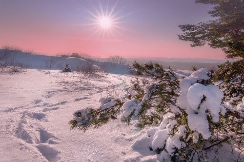 Winter morning