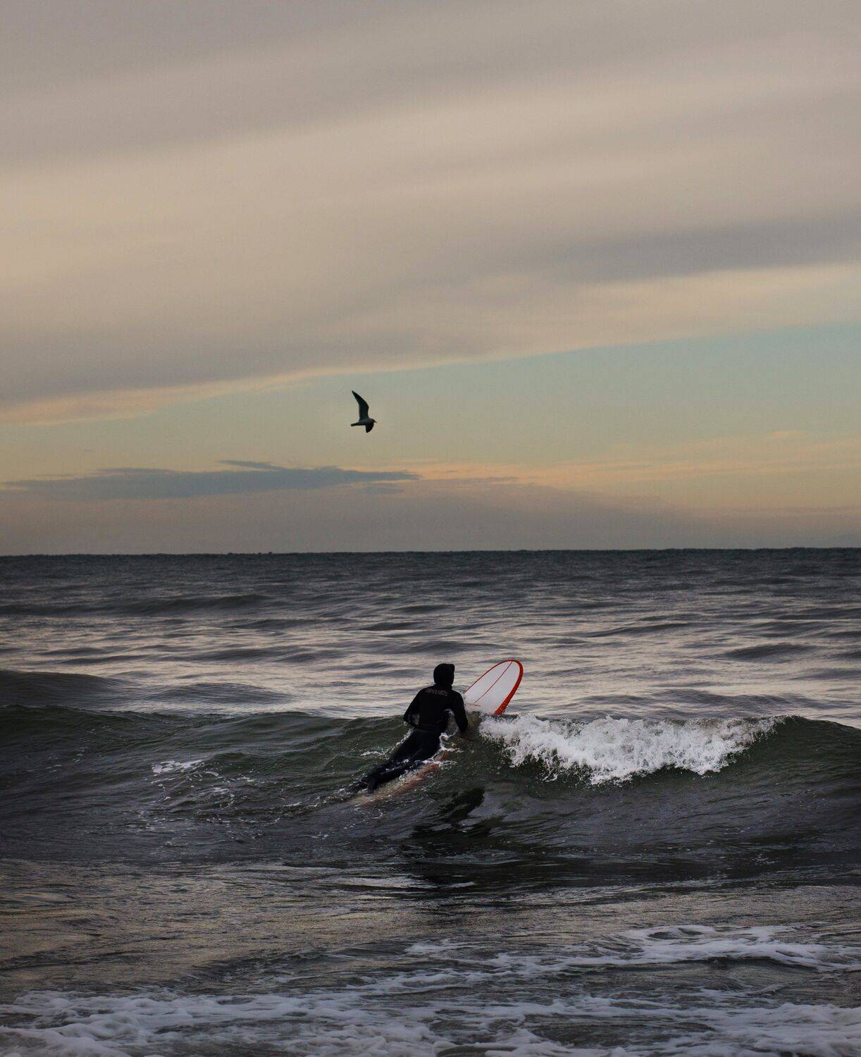 море сочи шторм облака чайки серфинг, Наталья Санникова