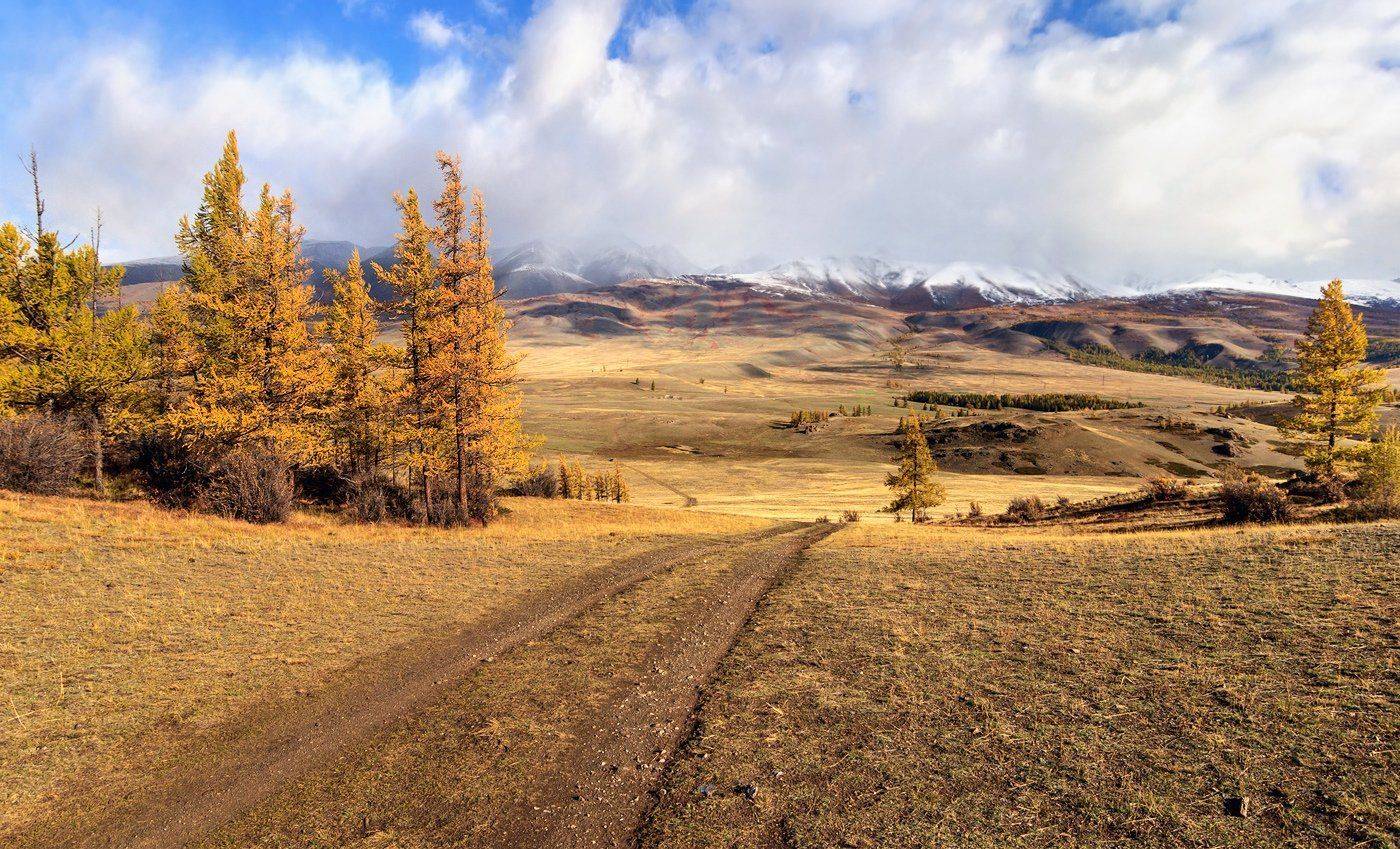 , Дмитрий Д.