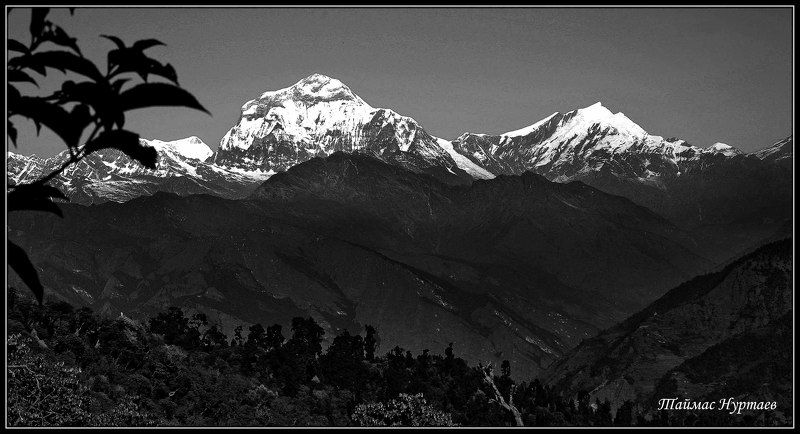 гимолаи ВЕЧНО МАНЯЩИЕ  ГИМОЛАИ.... фото превью