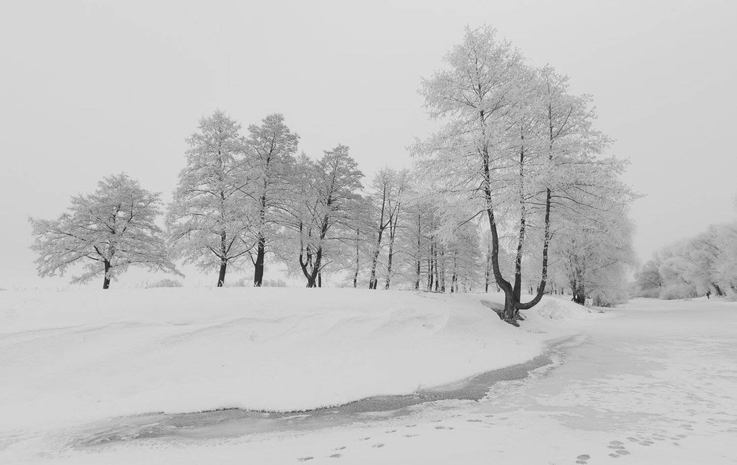 , Александр Подрез