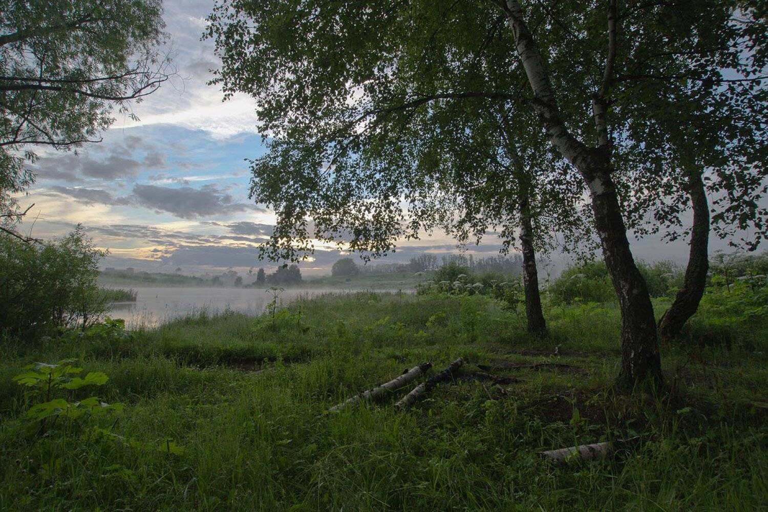 пейзаж лето июль архангельское, Михаил Агеев