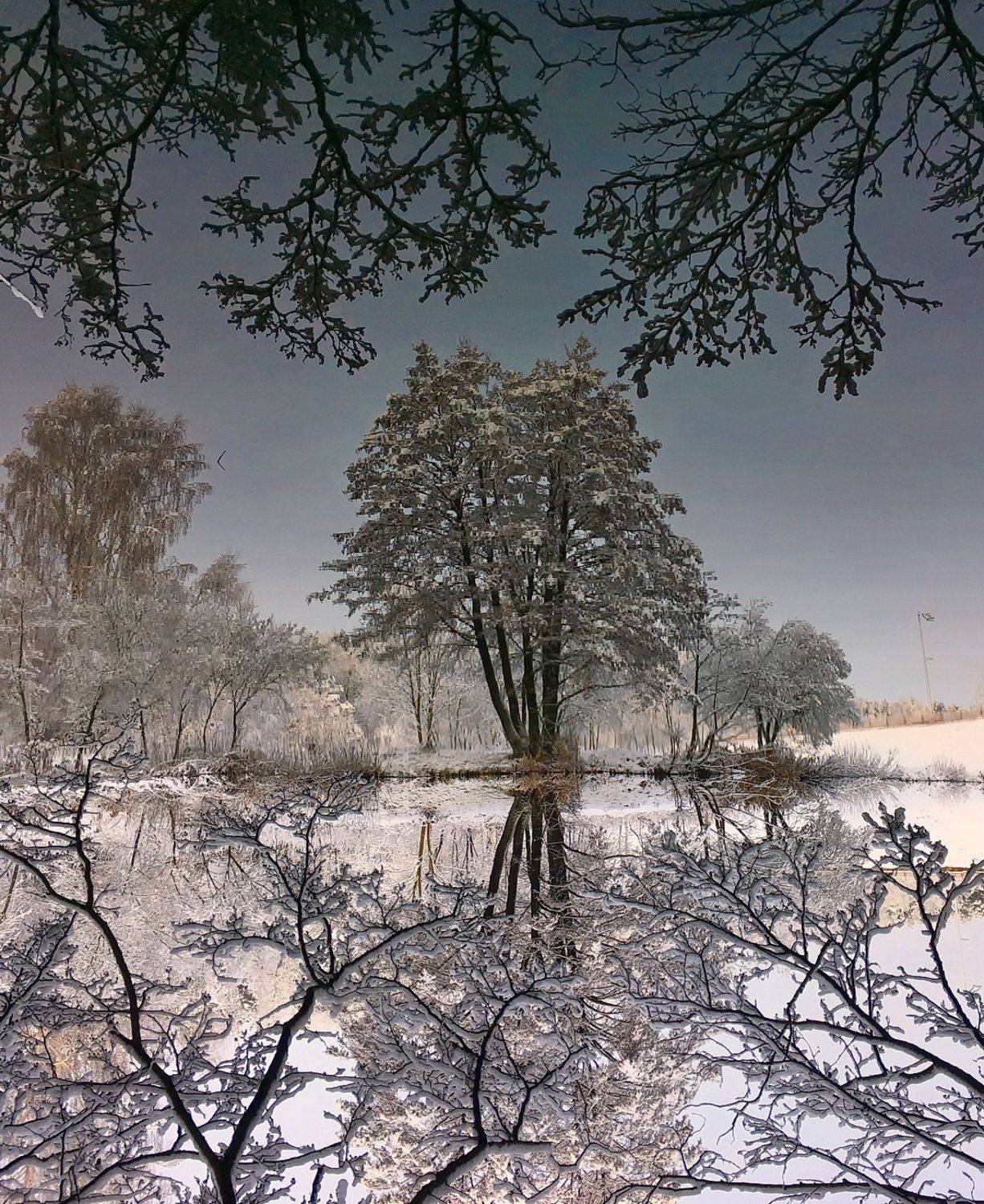 , Володя Демидчик