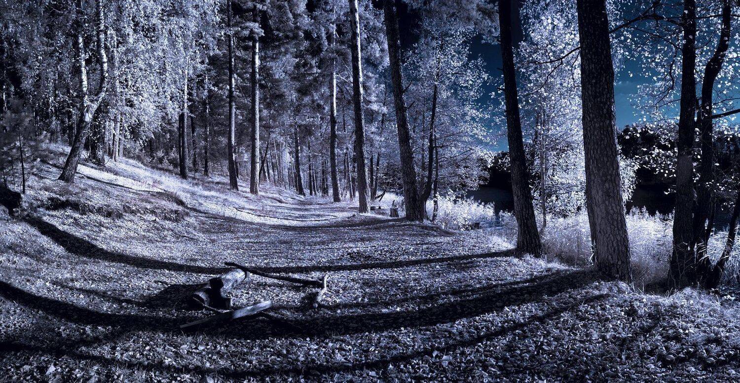 infrared,ик-фото,инфракрасное фото,инфракрасная фотография,пейзаж,природа,беларусь,осень, Sixten ( Сергей )