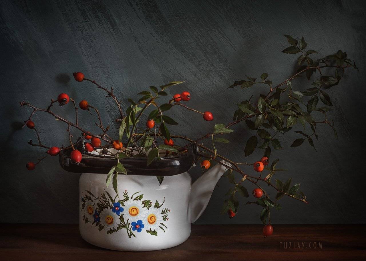 осень в чайнике, шиповник в чайнике, шиповник, Владимир Тузлай