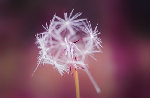 Практическая магия