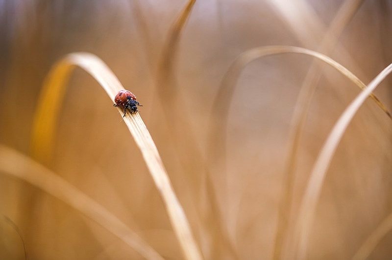 Дороги фото превью