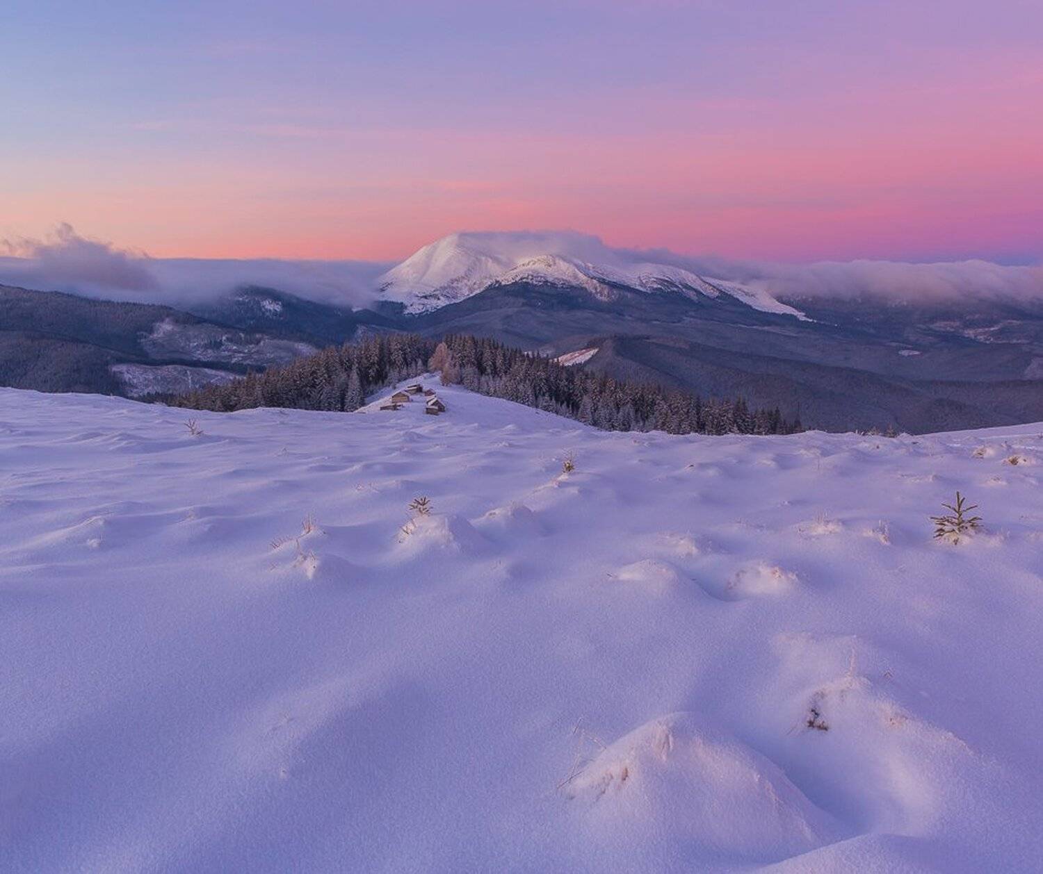 , Александр Подрез