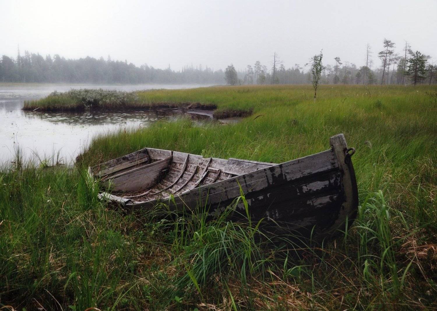 карелия, охта, болото, лодка, сосны, Лопухов Сергей