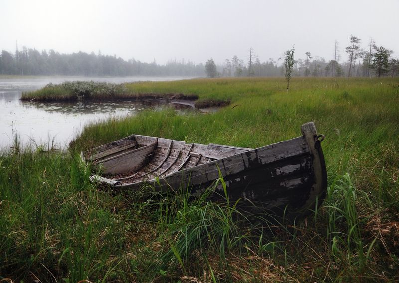 карелия, охта, болото, лодка, сосны Старая лодка на берегу Охты фото превью