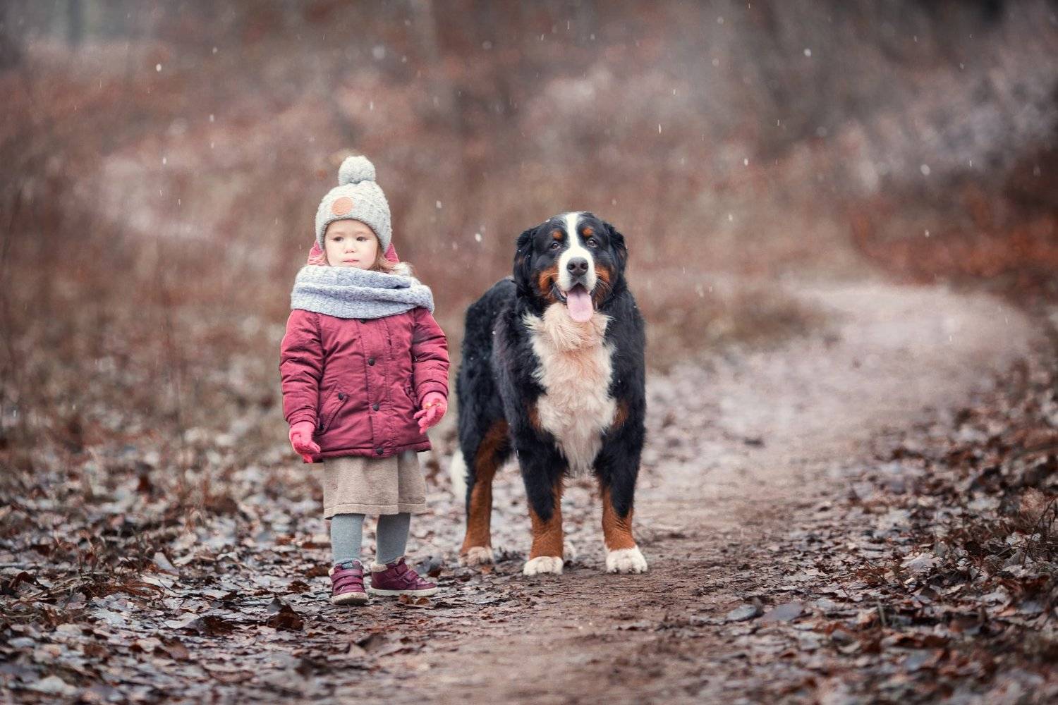 девочка, собака, прогулка, осень, Новицкая Татьяна