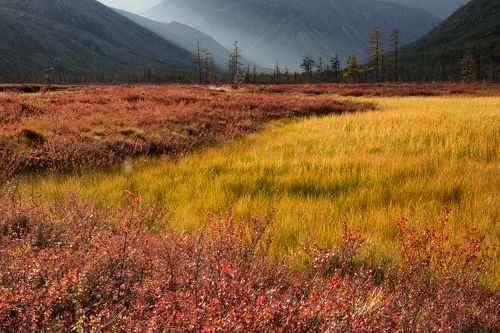 Очарование колымской осени
