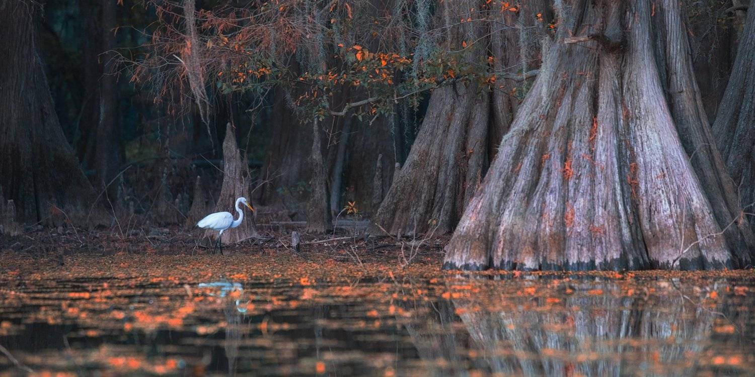 , Маргарита Чернилова