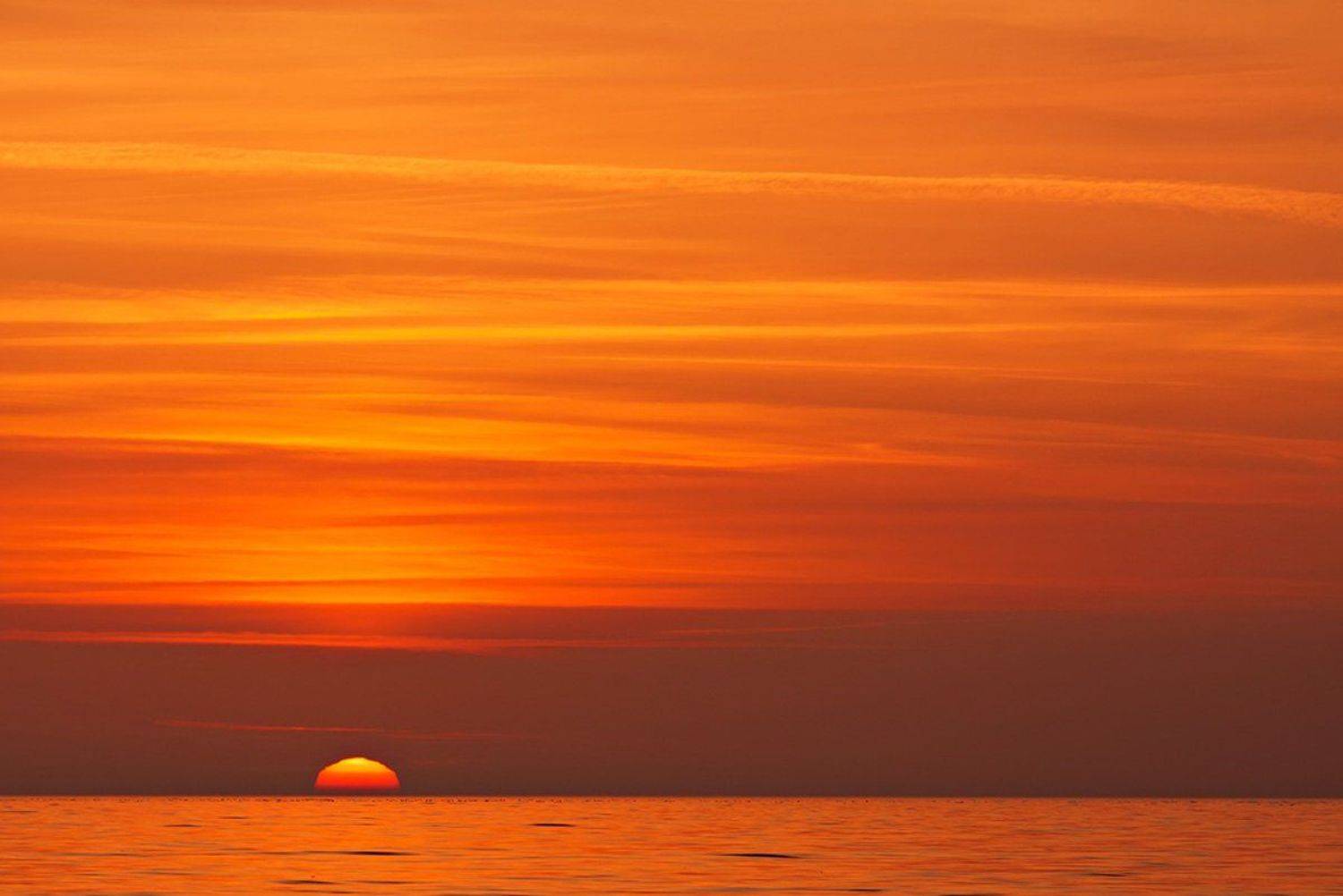 , Геннадий Новов