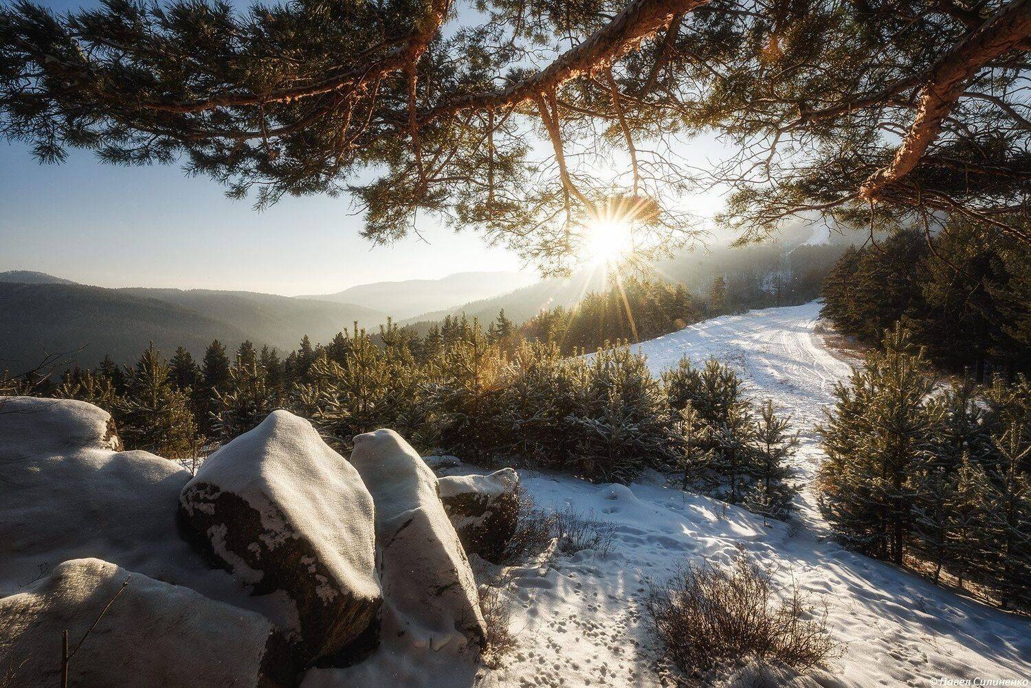 пейзаж, зима, закат, вечер, горы, Алтай, Белокуриха, скалы, сосна, лес, Павел Силиненко