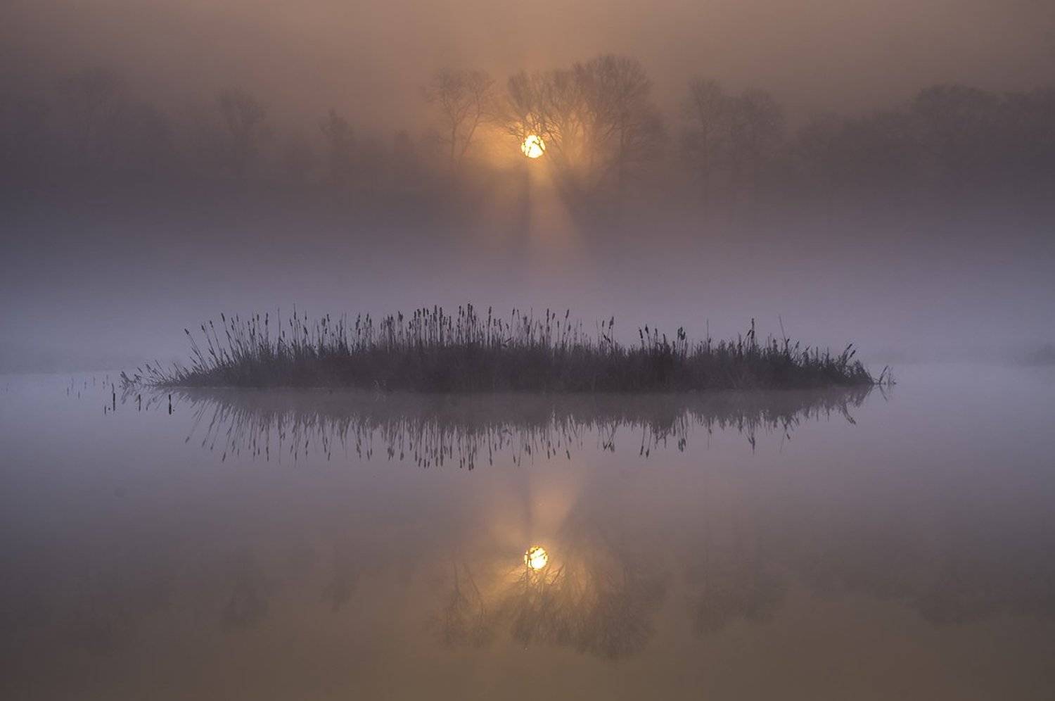 złocieniec, fog, jakub przybyła,pentax,, Jakub Przybyla