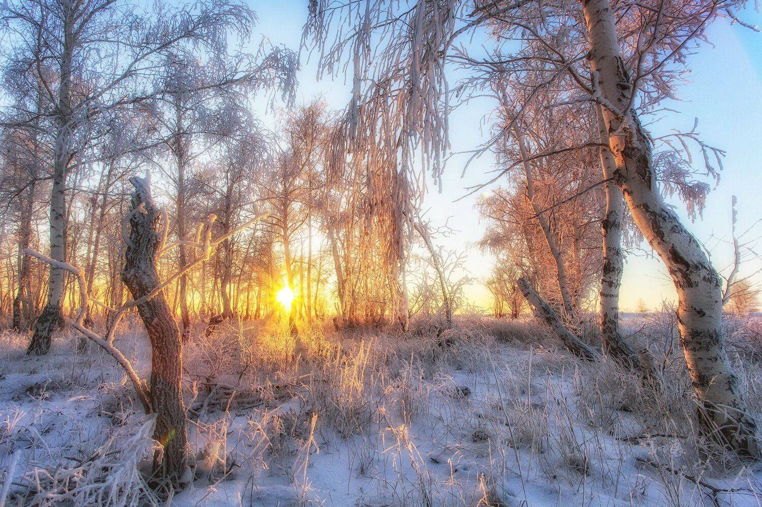 , Павел Сагайдак