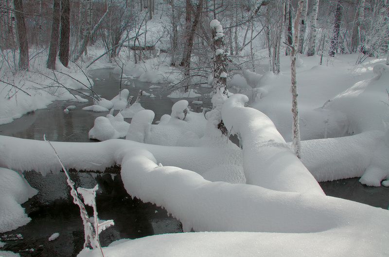 У ручья фото превью