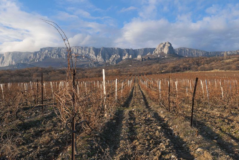 Время покоя..... декабрь..... фото превью