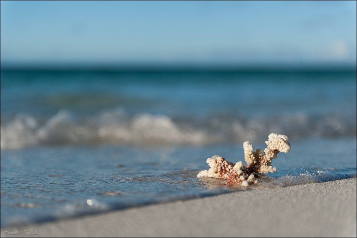 , Андрей Шумилин