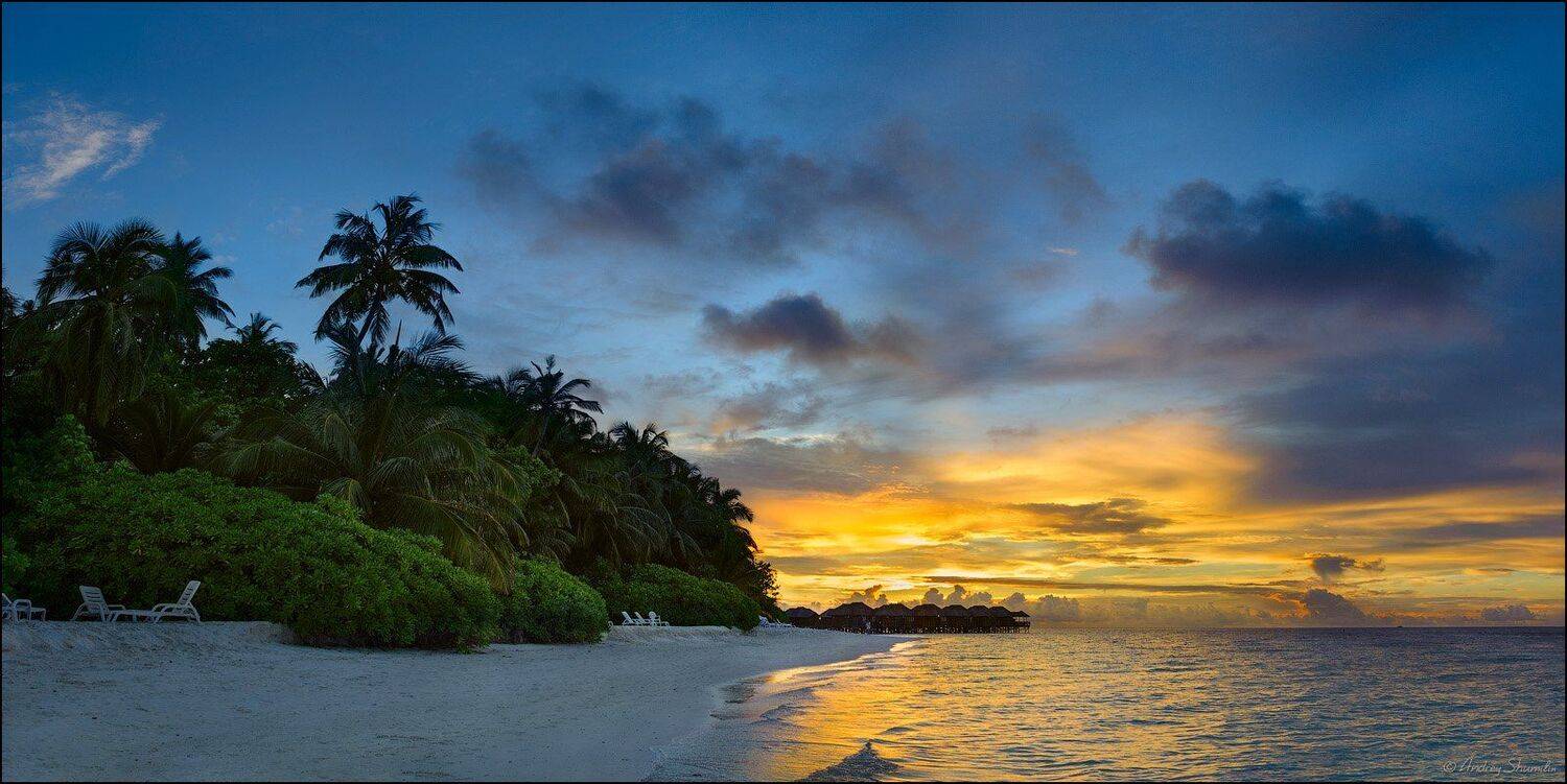 , Андрей Шумилин