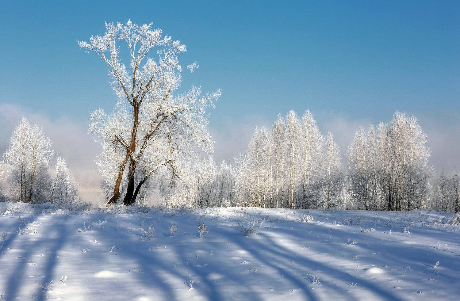 сибирь, зима, снег, новокузнецк, Галина Хвостенко