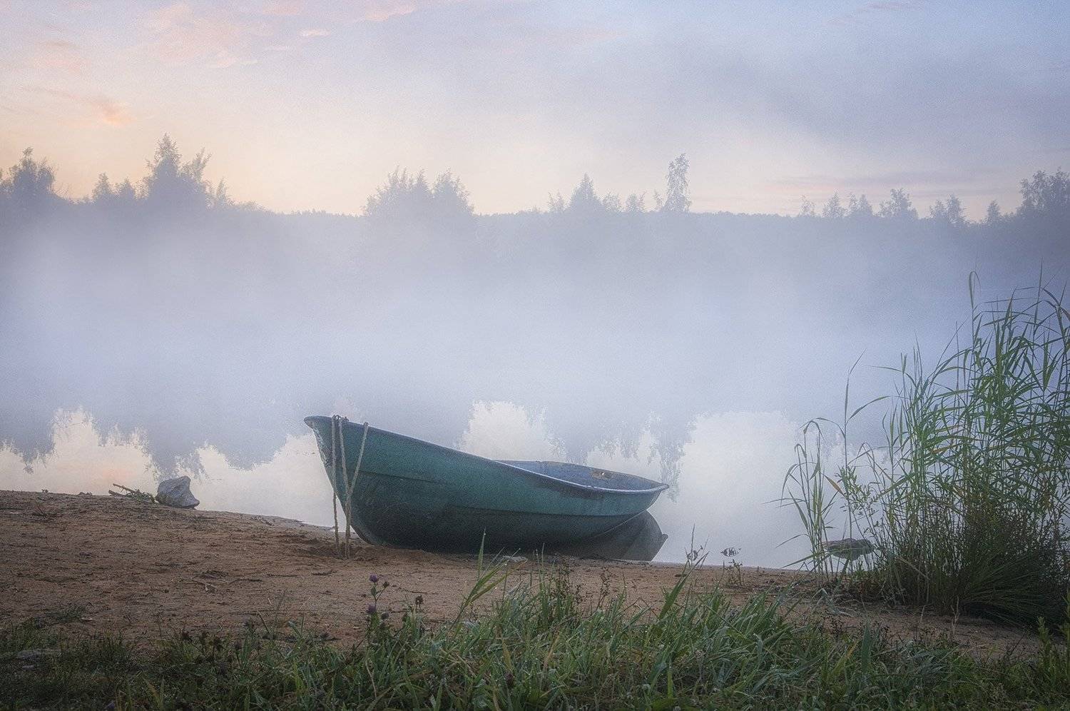 , Анатолий Зверев