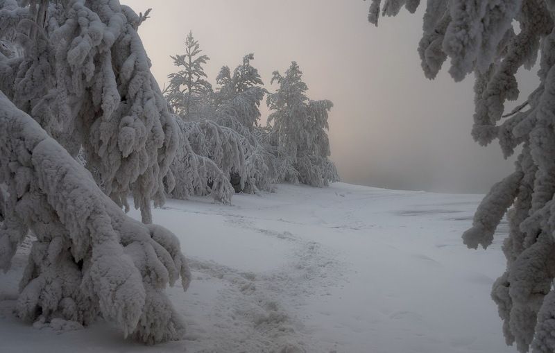 Когда  стояли морозы. фото превью