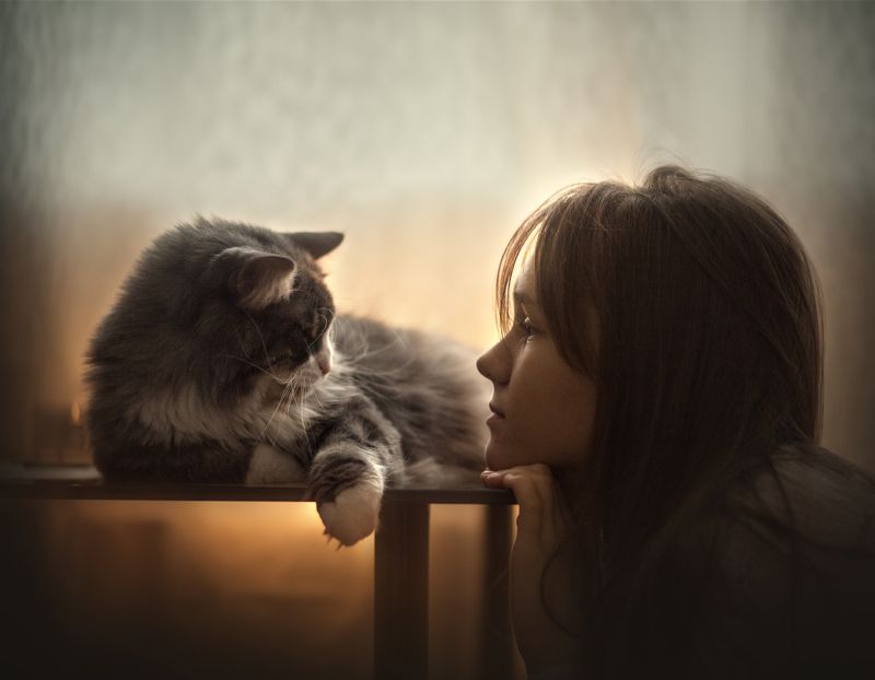 разговор без слов фото превью