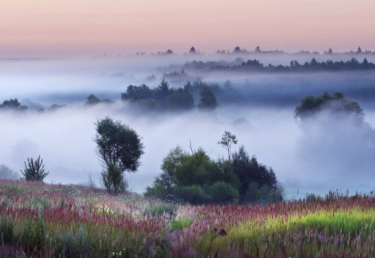 , Макеев Алексей