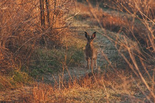 После вкусного завтрака
