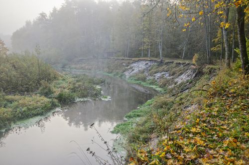 Туманное утро на Снежети