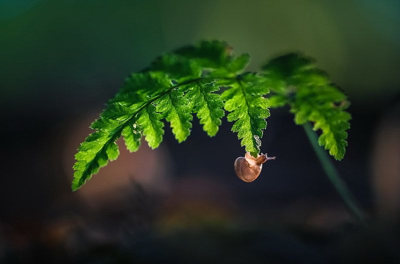 Малышка фото превью