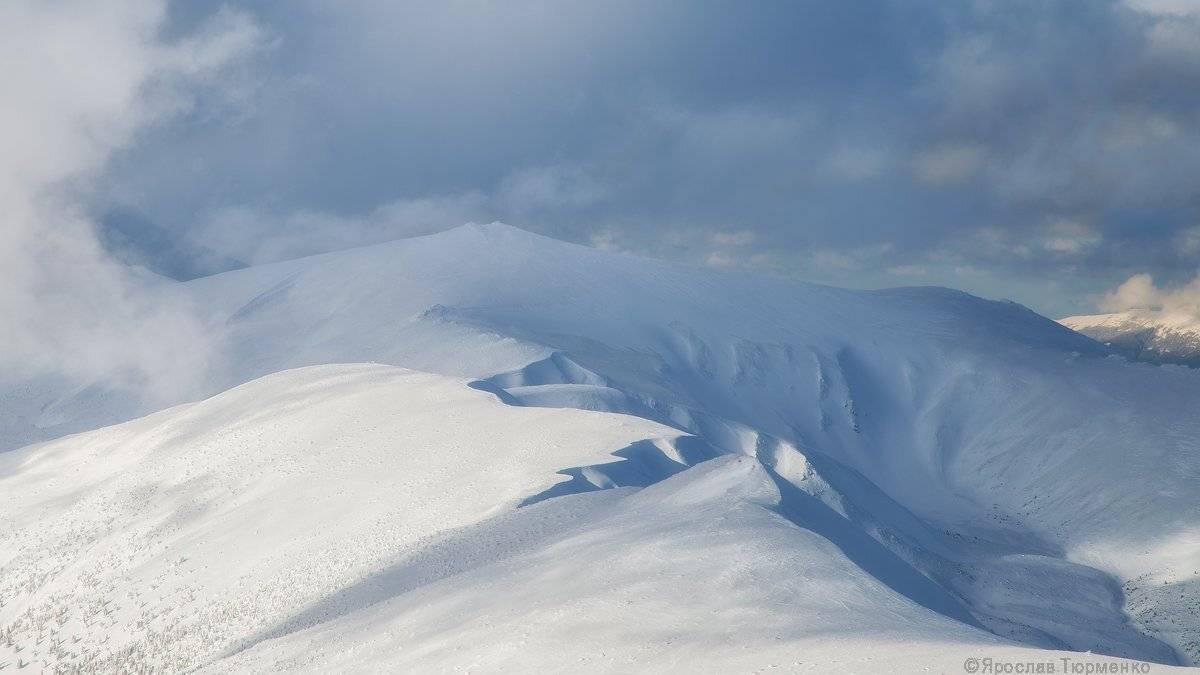 , Ярослав Тюрменко (Jaremi)