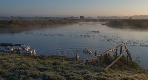 утро у Горини...