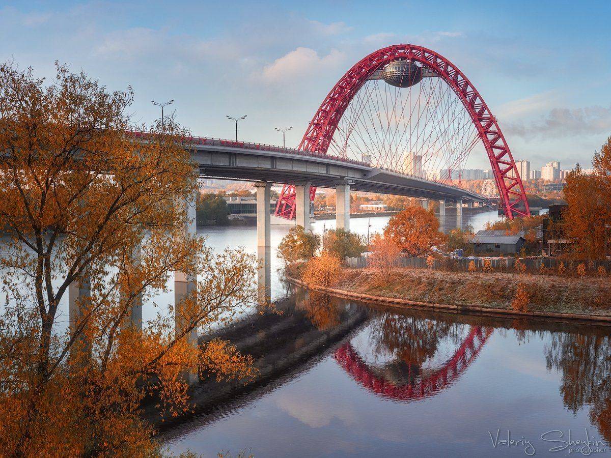 , Валерий Шейкин