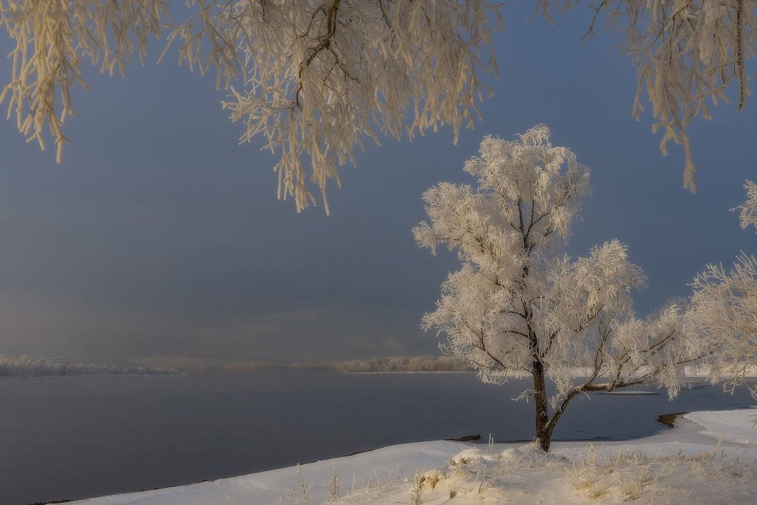 , Александр Макеев