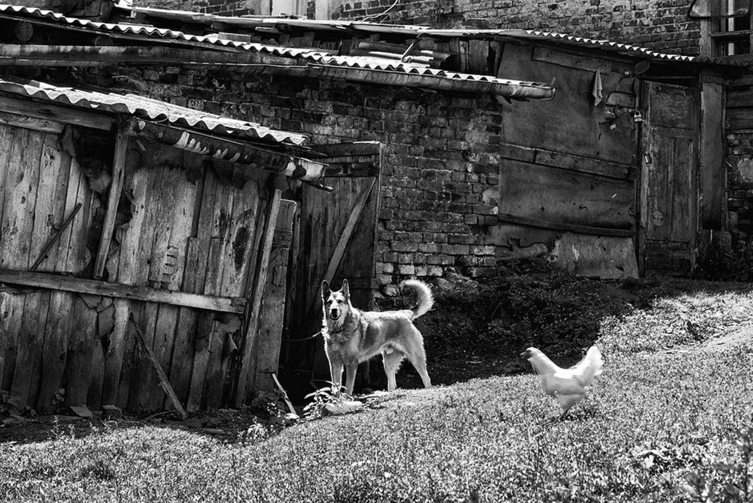 , Геннадий Новов