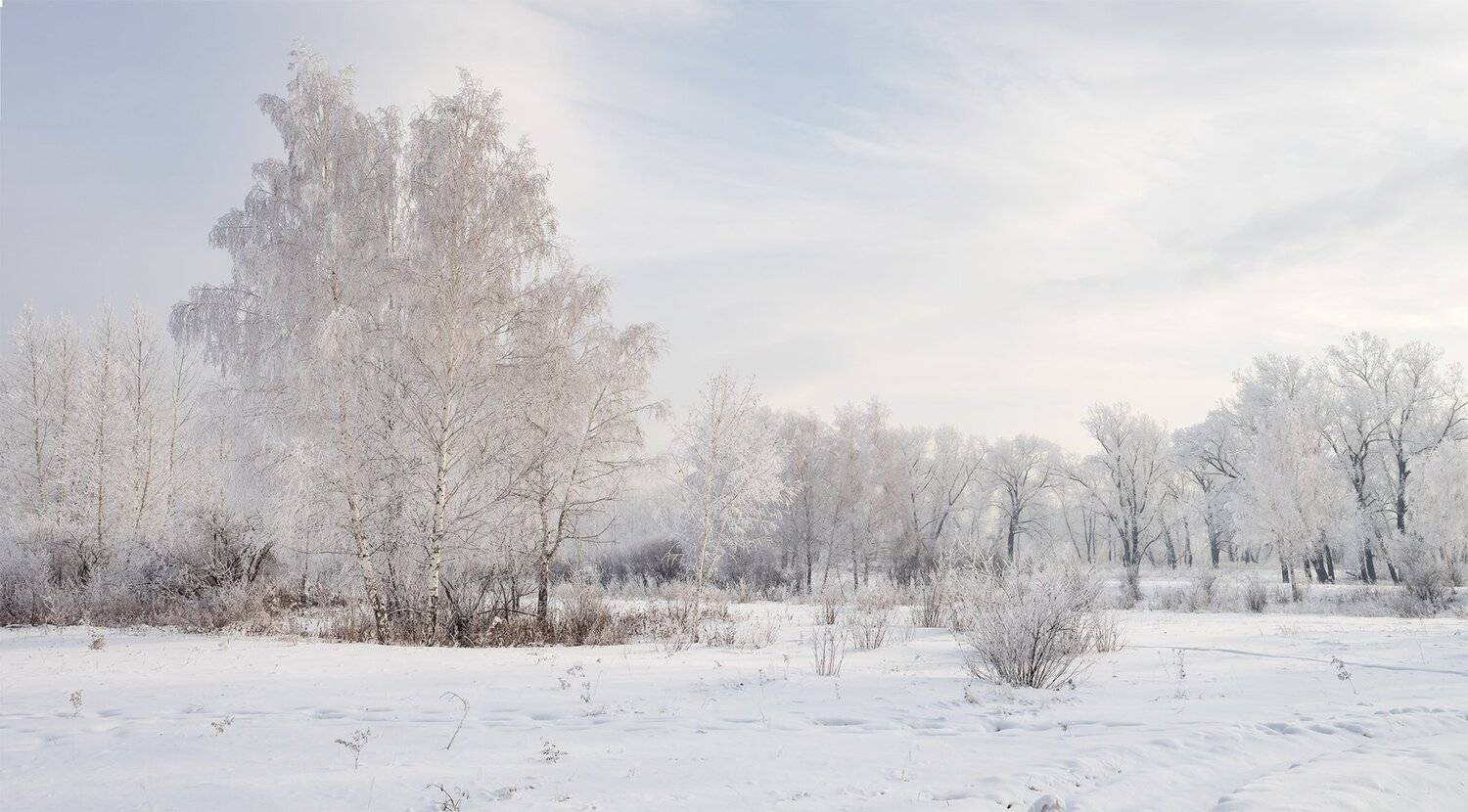 , Лещёнок Александр