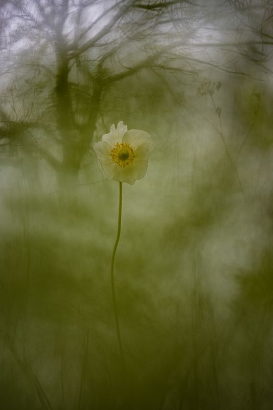 Винтаж фото превью