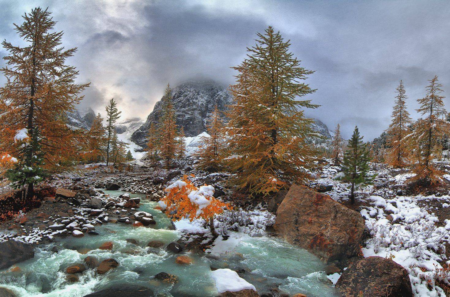 алтай актру караташ 2011г, Клековкин Алексей