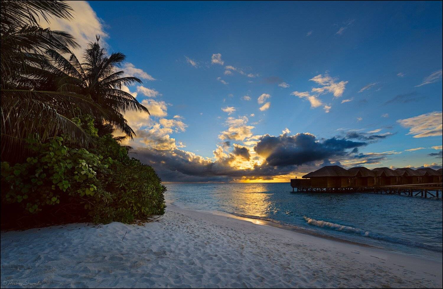 , Андрей Шумилин