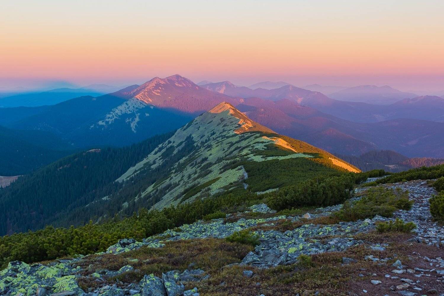 , Александр Подрез