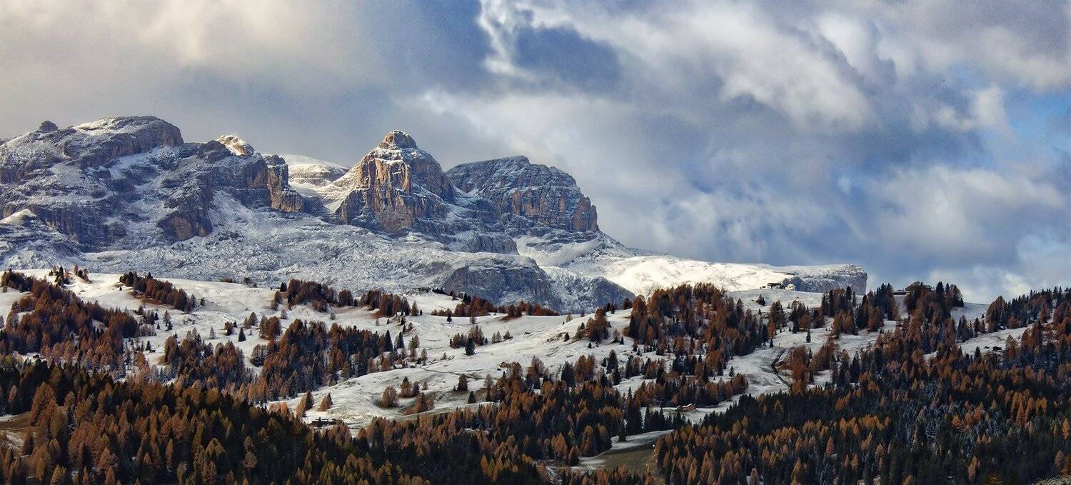 , Игорь Дубровский