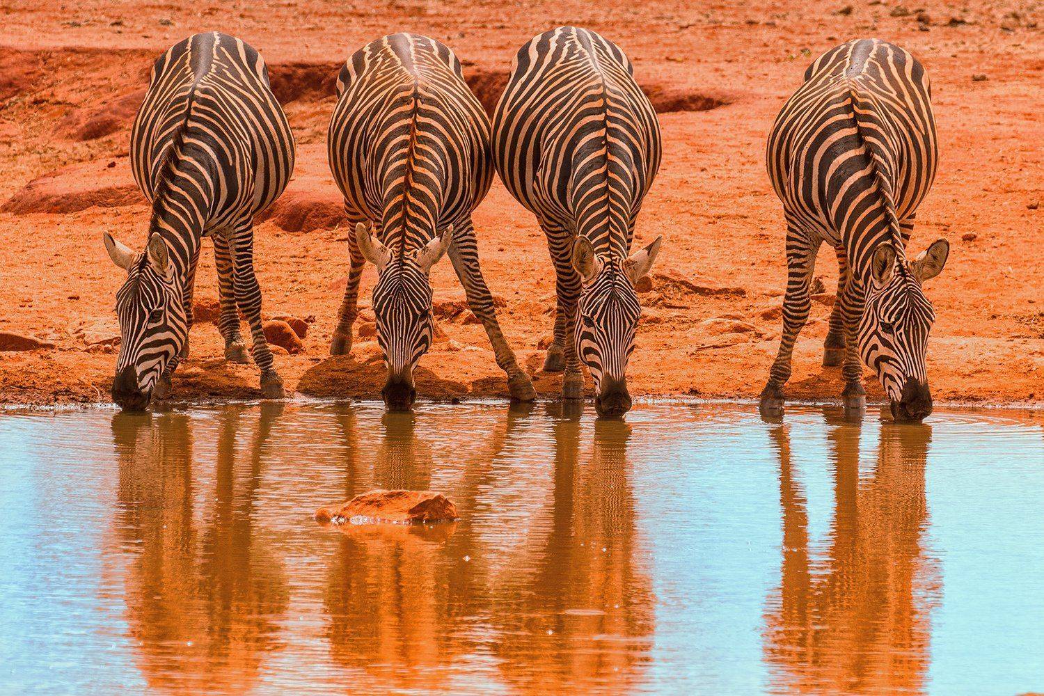 , Silvestr Szab&oacute;